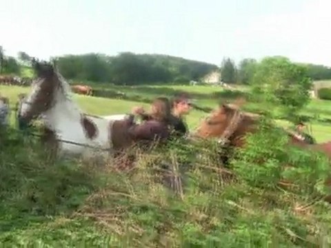 Chevaux au Concours de Mainsat (22/05/2011)