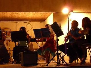 21/05/2011 ENSEMBLE INSTRUMENTAL LE VIGAN AU VIOLON LAURA JAËN 5