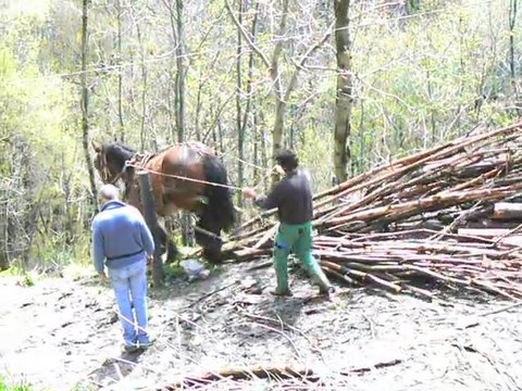 Chantier-école-de Montdenis-:-Premiers-pas