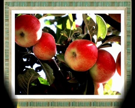 Mehmet Rıfat Yalman İlköğretim Okulu / Amasya