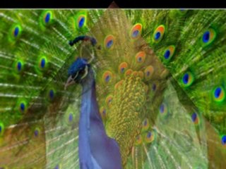 Cok Ama Cok&SiNAN ÖZEN - Katre Akın DJ Mix 🎶