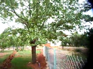 Hasan Amcanın Bahçesi