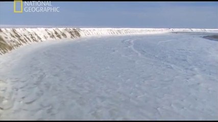 NG | Dinozorlar Serisi: Buzdaki Dinozorlar