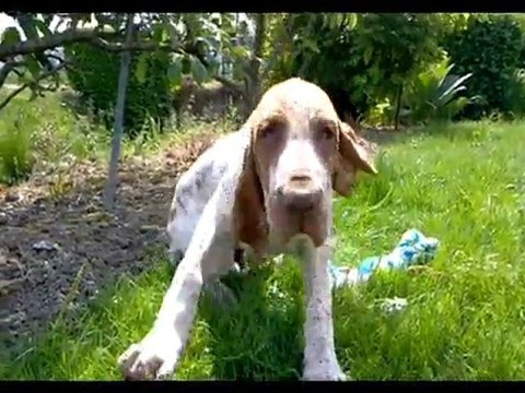 Gennaro Filmé le 220511