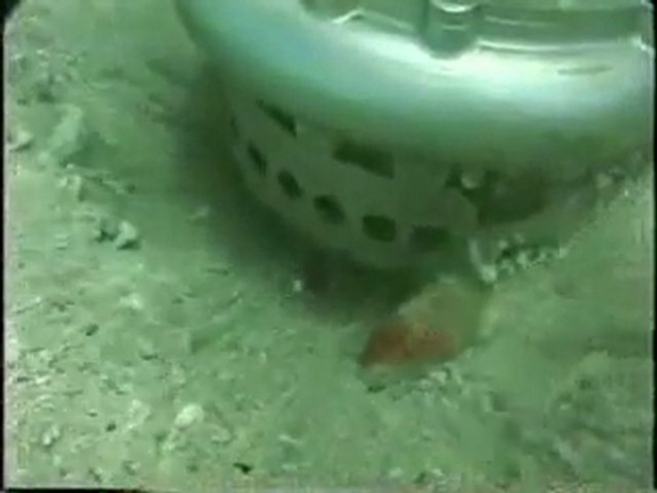 Özefe Makina POMPA Sualtı Çalışması sesli