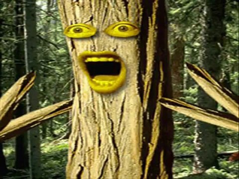 We can dance if we want to - Music Video