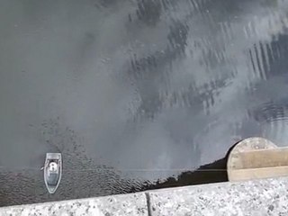 Yoshi saut élastique n° 4