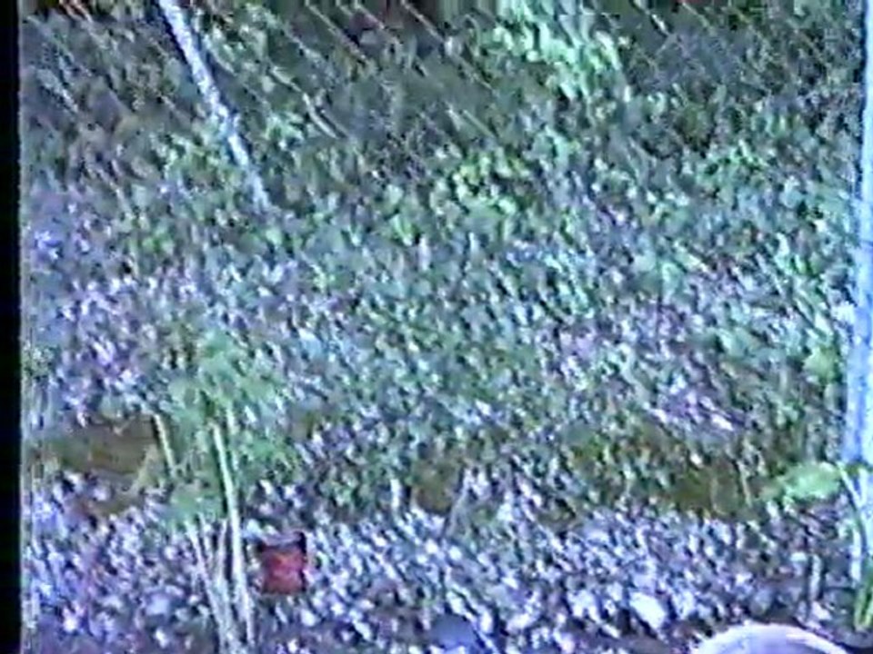 test Camescop JVC GR C7S