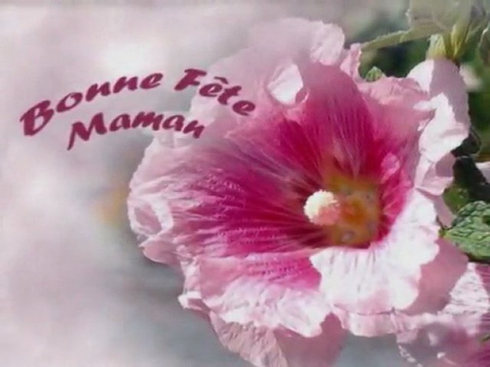 G.Lemarchal & Lucie Les Moulins de mon coeur