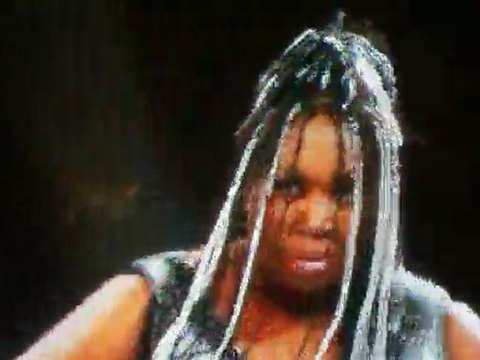 RAW-5/9/11-Eve and Kelly Kelly vs. Bella Twins