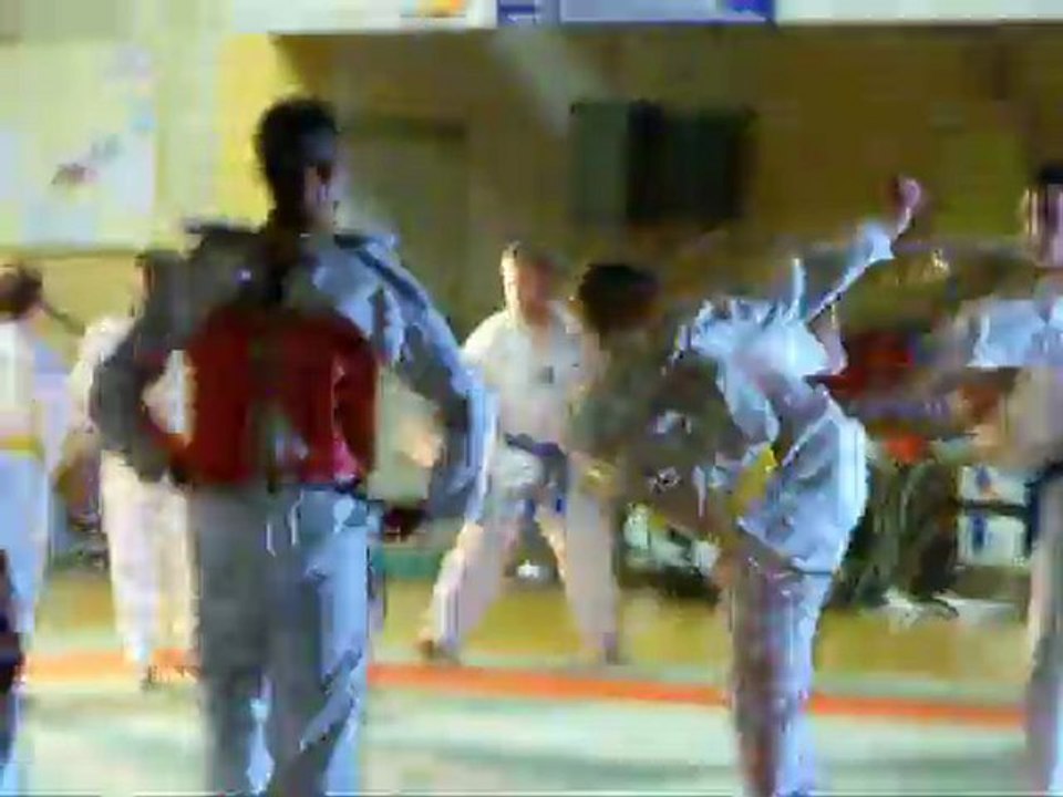 taekwondo