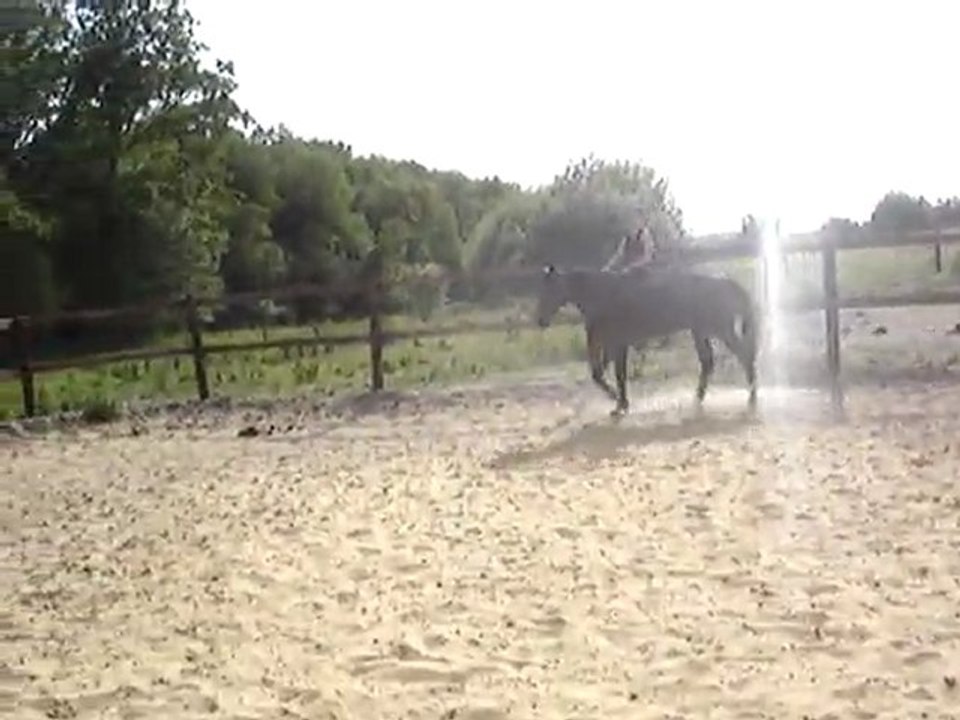 MOV02264