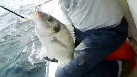 Bodrum Guvercinlik Dailymotion Video