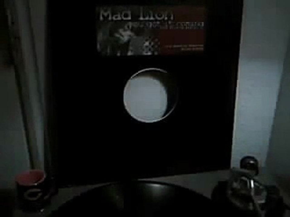 MAD LION.....