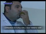Consorzio di Tutela Olio Verona - L'Italia Che Produce