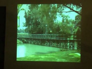 Auto Mental Suggestion for Health and Prosperity Part 5.wmv