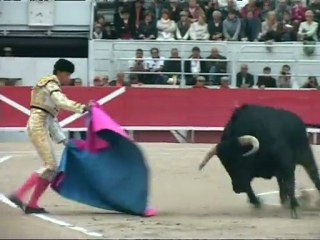 Tendido Sud N°247 du 18 mai 2011 - TV Sud