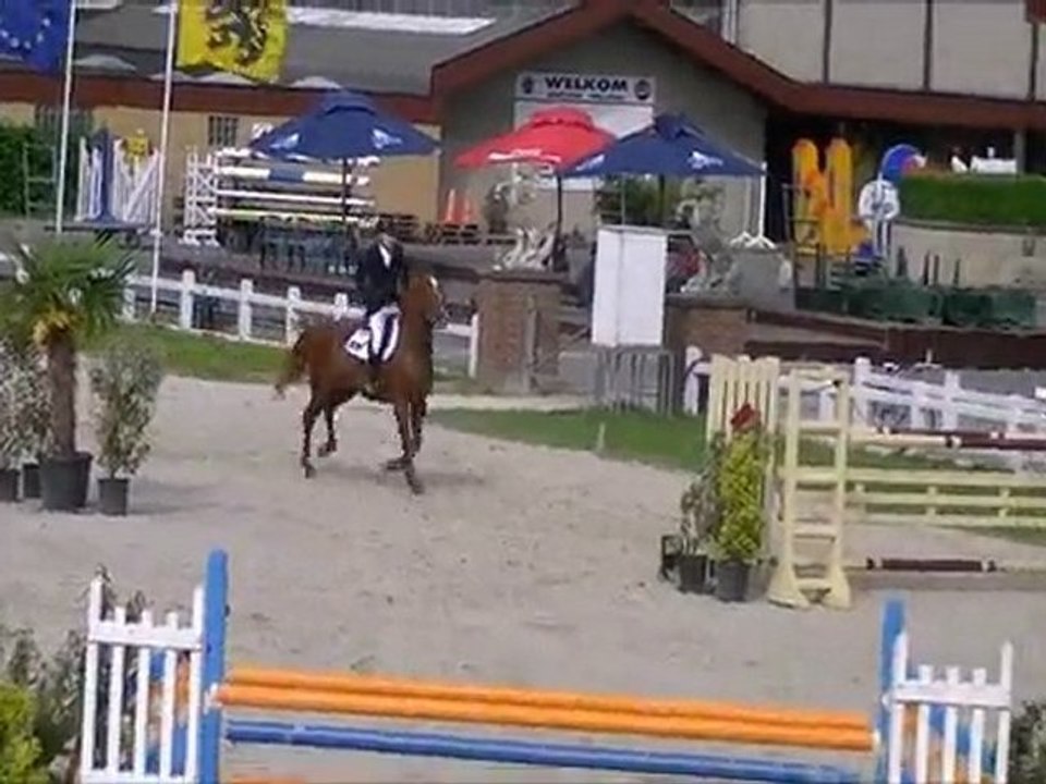 Quir Royal 2011 CSI Moorsele 7 ans