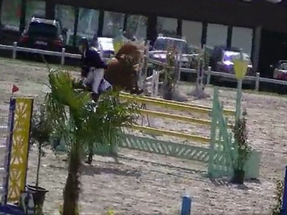 Quir royal Liniere barrage du Grand Prix des 7 ans au CSI de Moorsele
