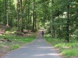 Sortie vélo en forêt de Compiègne