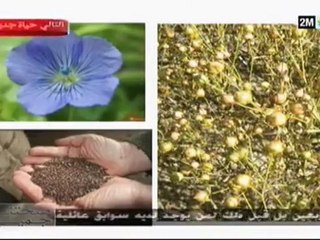 صحتنا جميع: الأحد 22 ماي