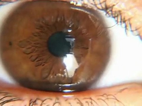 TV3 - Dissabte i diumenge, a la tarda, a TV3 - Cinema català