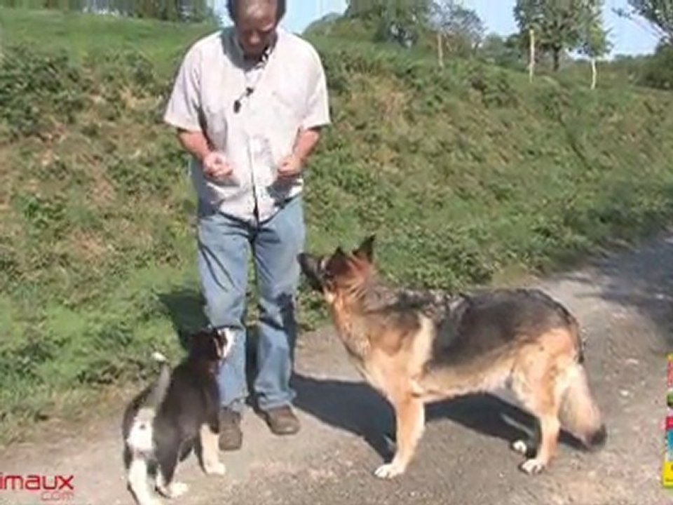 Apprendre le partage des ressources