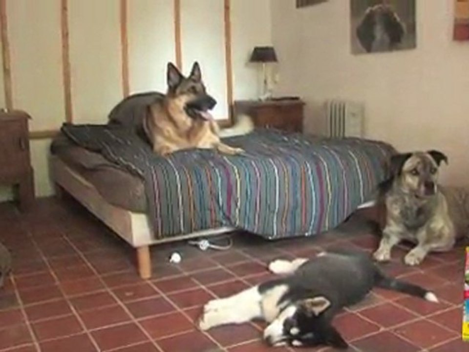 Les privilèges et les interdits