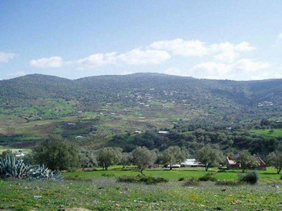 musica jabalia _عروسة الشمال ـ أوشيار علي