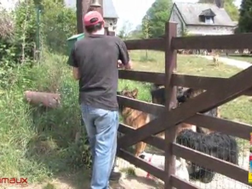 L'apprentissage en solo