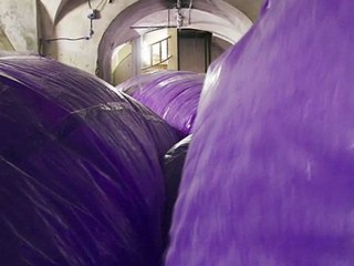 El arte de convertir el espacio en una burbuja de chicle