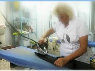 Alfa Pressing-Blanchisserie Nice
