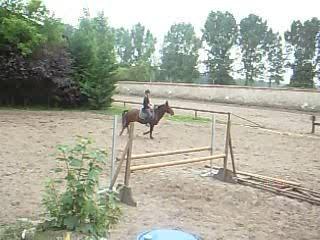 Parcours désolant : faire face à la vérité