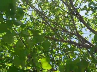 Tävling om en PowerShot G12