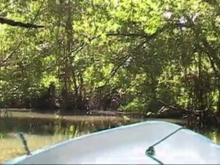 AT29: Parque Nacional Morrocoy, Venezuela