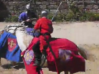 Combats équestres