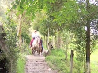 arriendo finca quindio Eco Hotel Palmas de Cocora