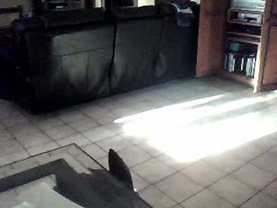 reprise soulman de ben loncle soul