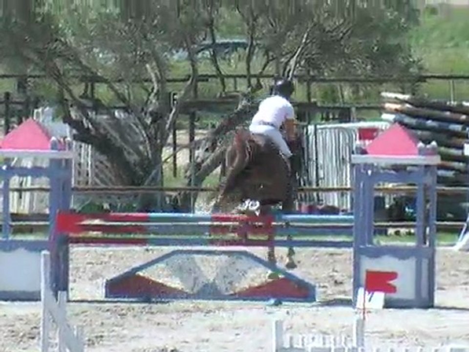 Ripou de Fumuy "A vendre"