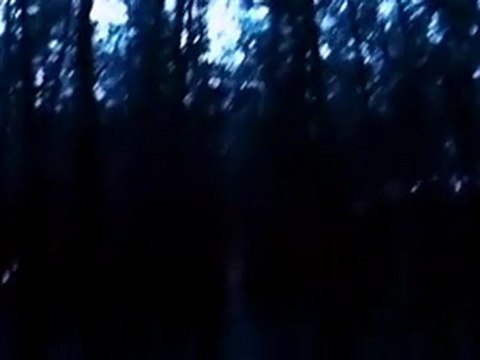 Ragini (2011) Dvd Scr By DesiTvForum.Net Part1