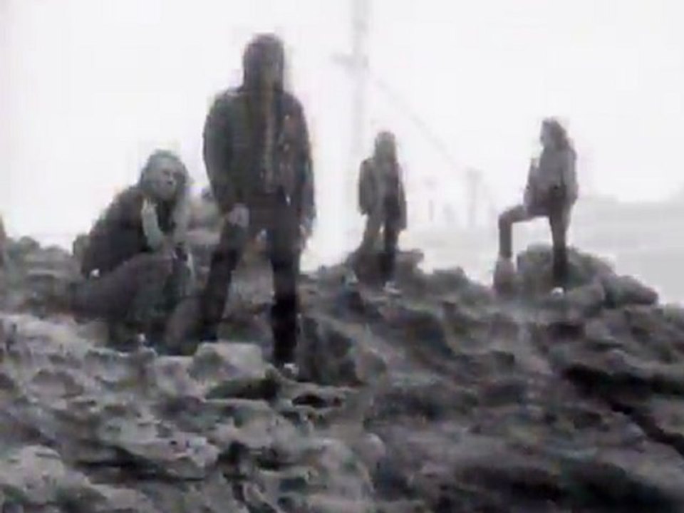 White Lion - Little Fighter