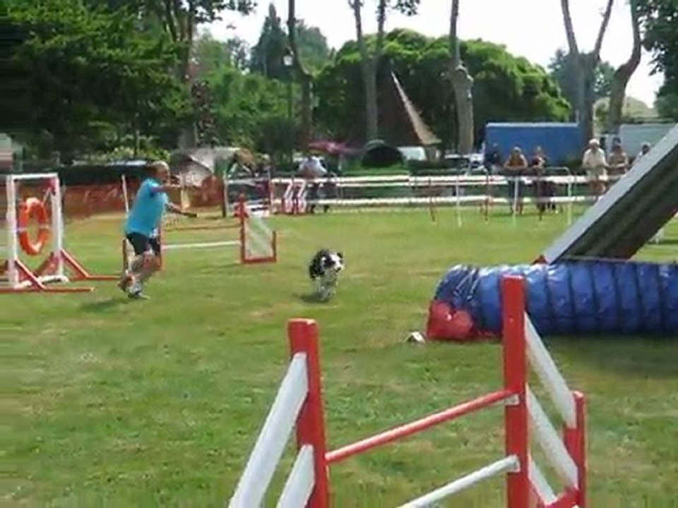 Bahia Agility 1 Trophée par Equipe 2011