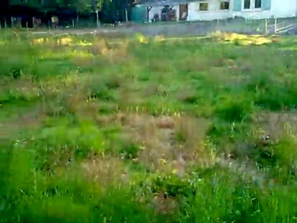 Ingalls series 05-2011