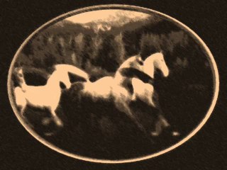 Woven Hand by Edgar Portoski