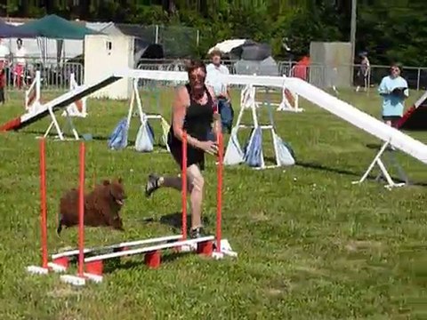 Domino - SPGF Avignon - 1er parcours Agility