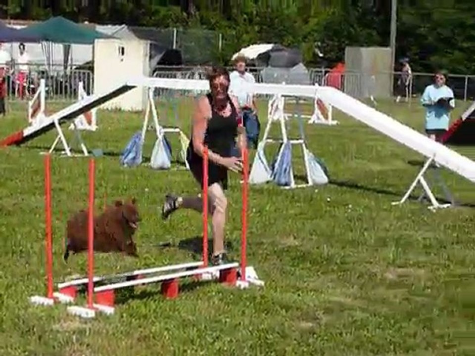 Domino - SPGF Avignon - 1er parcours Agility