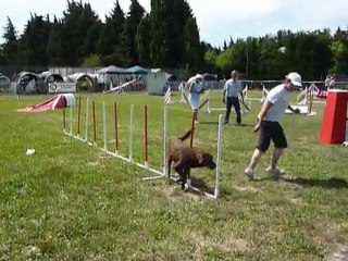 Looping - SPGF Avignon - Jumping
