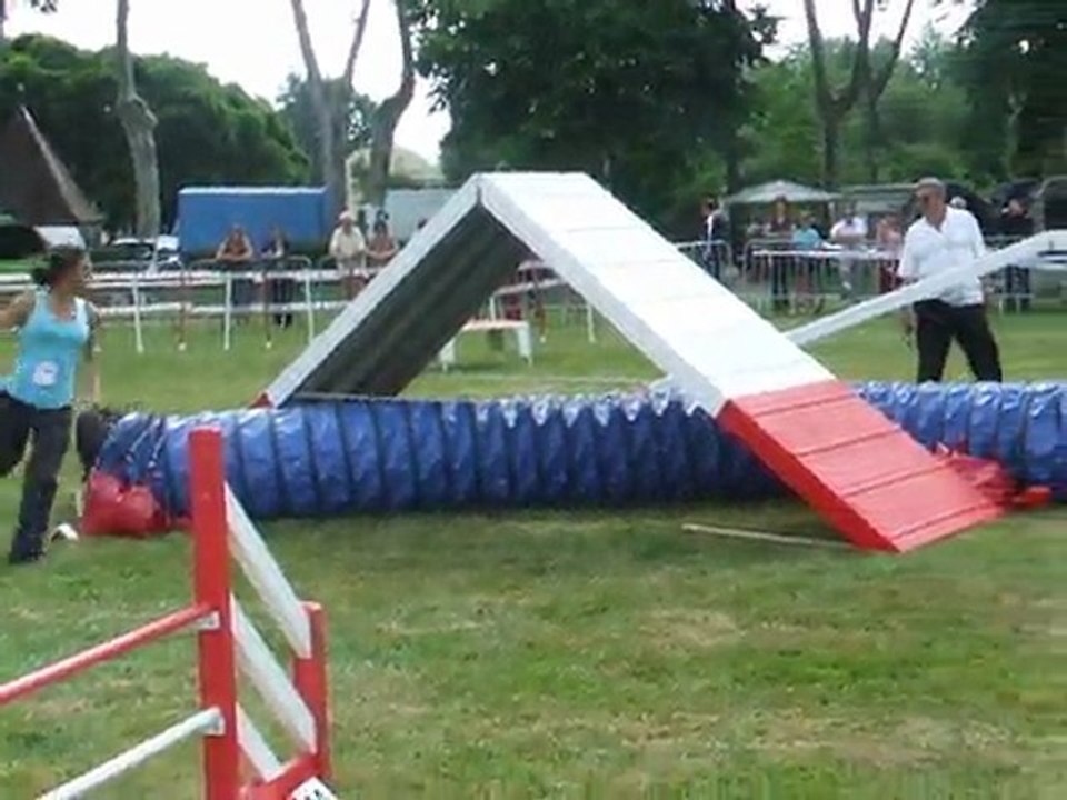 Volcan Agility 1 Trophée par équipe 2011