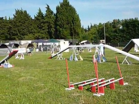 Brownie - SPGF Avignon - Parcours de chauffe