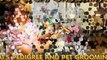 Sunrise, Dog, Cat, Pet Grooming, Pats Pet Grooming, FL 33351